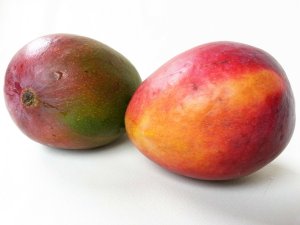 Two fresh mangoes